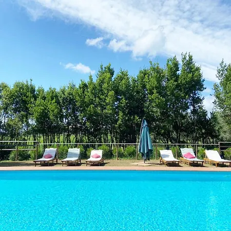 Relais Casale Il Poggetto - Olivo 1 By Zoom In Earth Apartman